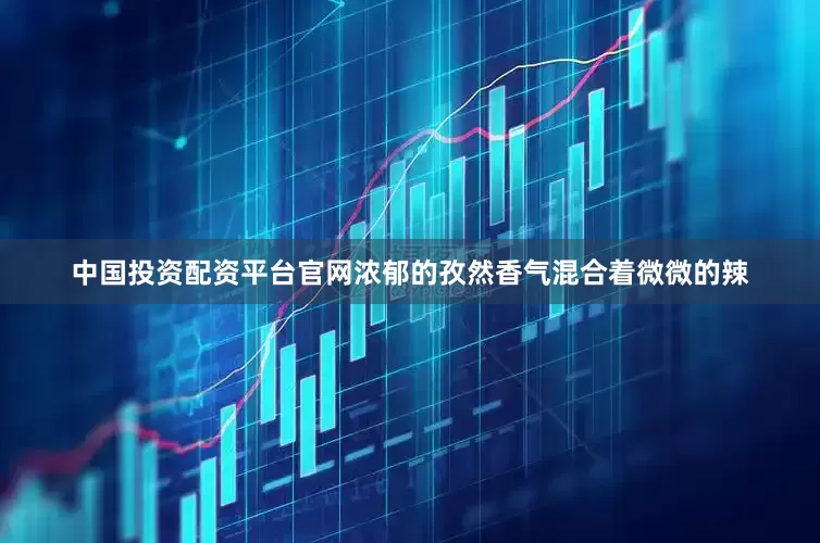 中国投资配资平台官网浓郁的孜然香气混合着微微的辣