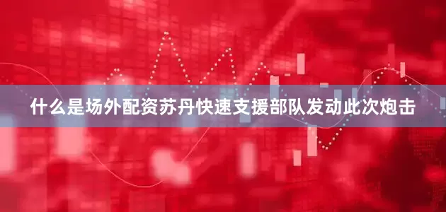 什么是场外配资苏丹快速支援部队发动此次炮击