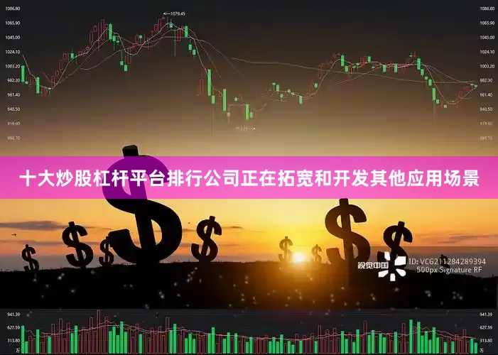 十大炒股杠杆平台排行公司正在拓宽和开发其他应用场景