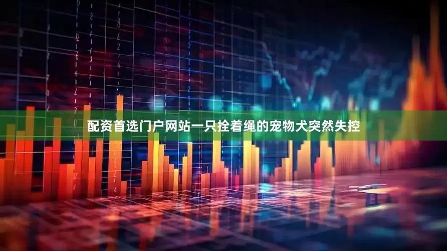 配资首选门户网站一只拴着绳的宠物犬突然失控