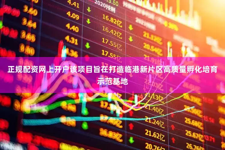 正规配资网上开户该项目旨在打造临港新片区高质量孵化培育示范基地